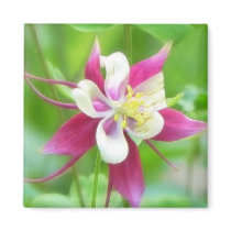 Bright McKana Type Columbine