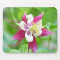 Bright McKana Type Columbine