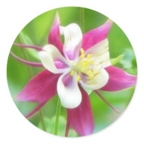 Bright McKana Type Columbine