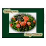 Bright Mushrooms Christmas Card