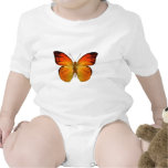 Bright Orange Butterfly
