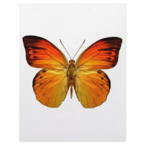 Bright Orange Butterfly