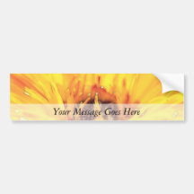 Bright Orange Calendula Blossom Bumper Sticker