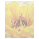 Bright Orange Calendula Blossom
