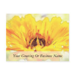 Bright Orange Calendula Blossom postcards