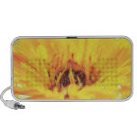Bright Orange Calendula Blossom Speakers