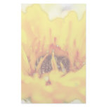 Bright Orange Calendula Blossom