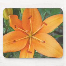 bright orange lilly mouse pad