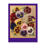 Bright Pansies Seed Packet Art on Cards Postcard