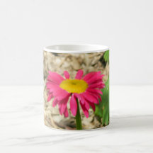 Bright Pink Daisy Mug