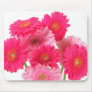Bright Pink Gerbera Daisies Mouse Pad
