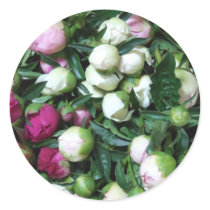 Bright Pink, Light Pink, White Peony Bud Wedding S Round Stickers