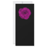 Bright Pink Rose. Black Background. Custom Rack Cards