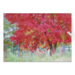 Bright Red Autumn Maple Leaves In The Meadow