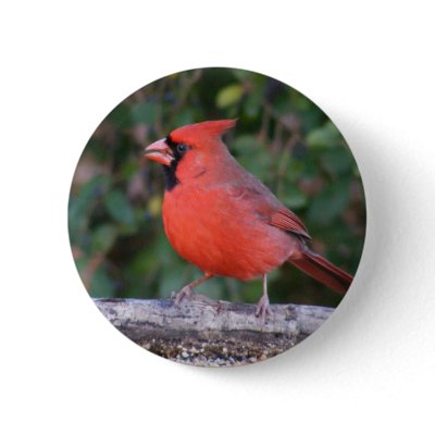 Bright Red Cardinal Button by TLArnold