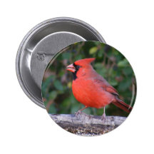 Bright Red Cardinal Button