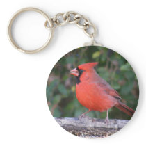 Bright Red Cardinal Keychains