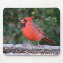 Bright Red Cardinal Mousepads