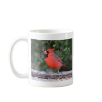 Bright Red Cardinal Coffee Mugs