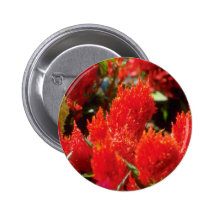 Bright red flowers flowers pinback buttons