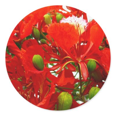 Bright Red Flowers Sticker by AryadnaDesign