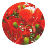 Bright Red Flowers stickers