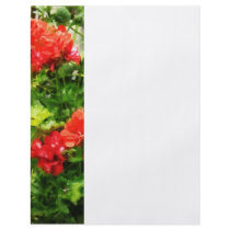 Bright Red Geraniums Custom Flyer