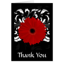 Bright Red Gerbera Daisy on Black Greeting Card