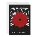 Bright Red Gerbera Daisy on Black Custom Announcement