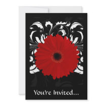 Bright Red Gerbera Daisy on Black Custom Announcement