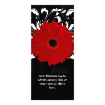 Bright Red Gerbera Daisy on Black Rack Cards