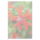 Bright Red Maltese Cross Customized Stationery