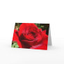 Bright Red Rose Card