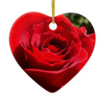 Bright Red Rose Ornament
