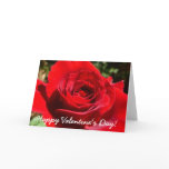 Bright Red Rose Valentine's Day Card