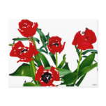 Bright Red Tulips postcards