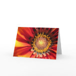Bright Spark Cards