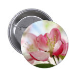 Bright Spring Apple Blossoms Buttons