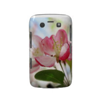 Bright Spring Apple Blossoms