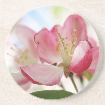 Bright Spring Apple Blossoms Coaster