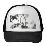 Bright Summer Branches Hat