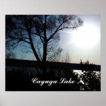 BRIGHT SUN AT CAYUGA LAKE poster