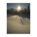 Bright Sun on Fresh Snow Postcard
