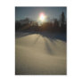 Bright Sun on Fresh Snow Postcard