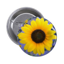Bright Sunflower buttons