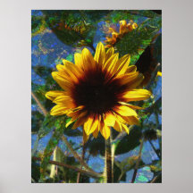 Bright Sunflower Poster