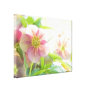 Bright Sunshine On Hellebore Flowers Canvas Prints