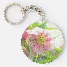 Bright Sunshine On Hellebore Flowers Key Chain