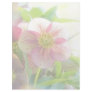 Bright Sunshine On Hellebore Flowers Letterhead Design