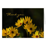 Bright Swamp Sunflowers Thank You Card